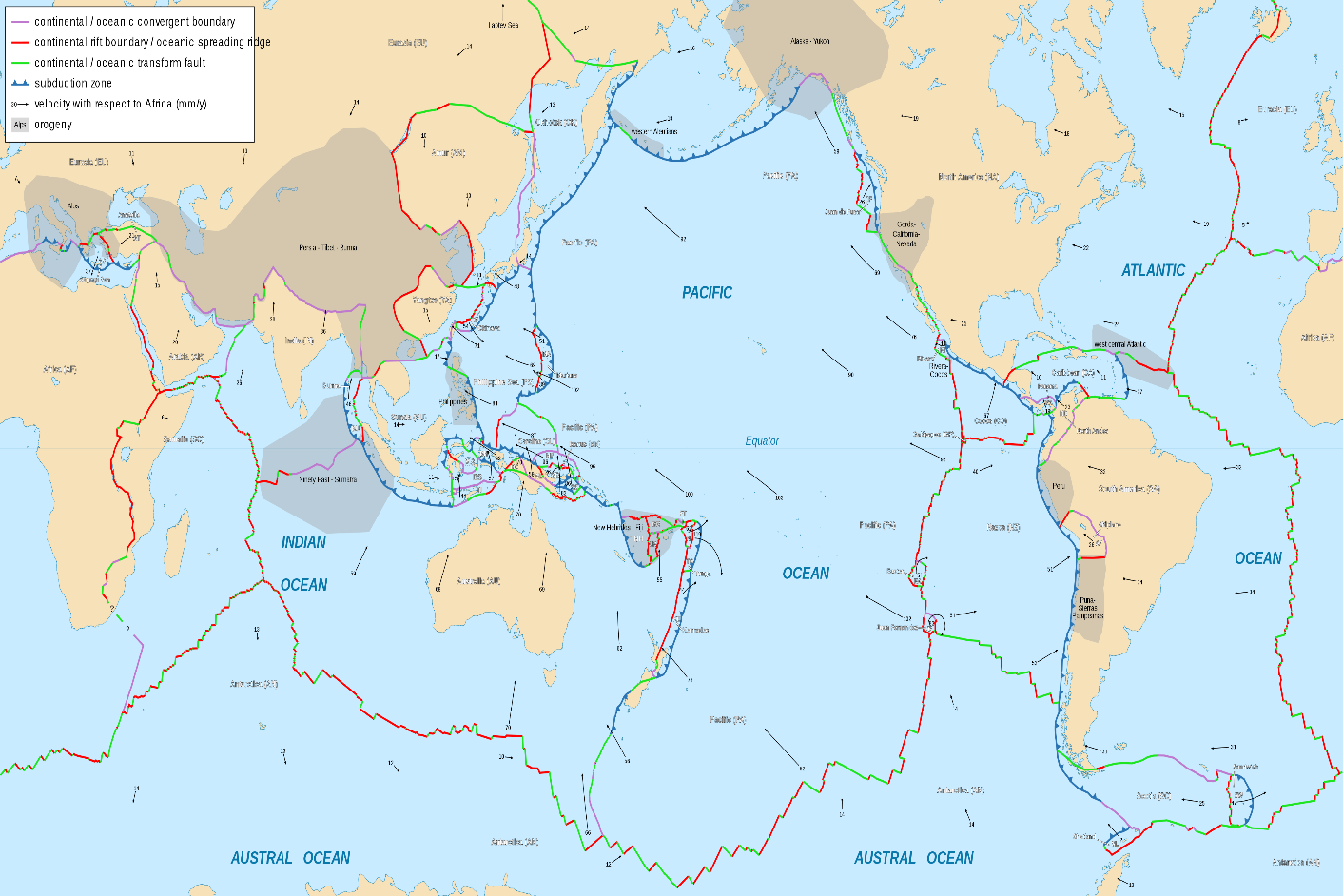 Global tectonic plates map. What to do during an earthquake?